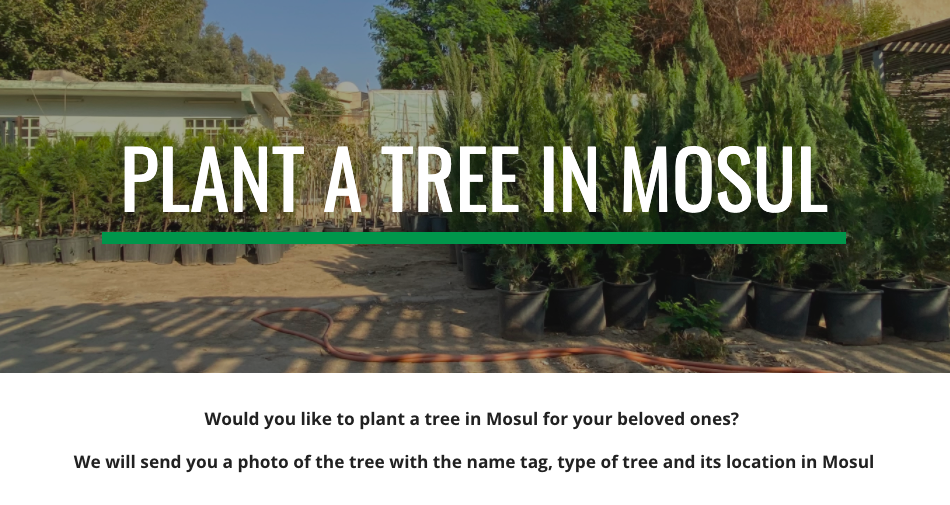 Advertising image containing trees in a pot for the Green Mosul initiative, inviting people to 'plant a tree in Mosul'.