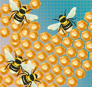 A sketch of bees on their honeycomb.