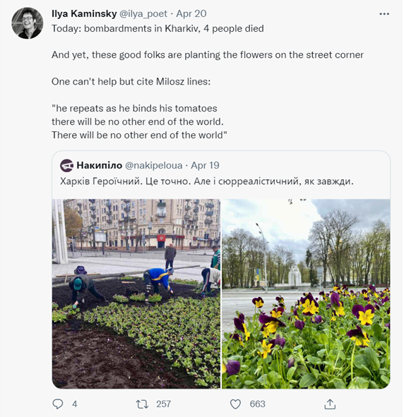 Tweet from @Ilya_poet with the caption, "Today: bombardments in Kharkiv, 4 people died. And yet, these good folks are planting the flowers on the street corner. One can't help but cite Milosz lines: 'he repeats as he binds his tomatoes / there will be no other end of the world. / There will be no other end of the world'." This is a reply to @nakipeloua with two photos of people planting flowers, and an up close photo of the purple and yellow flowers.